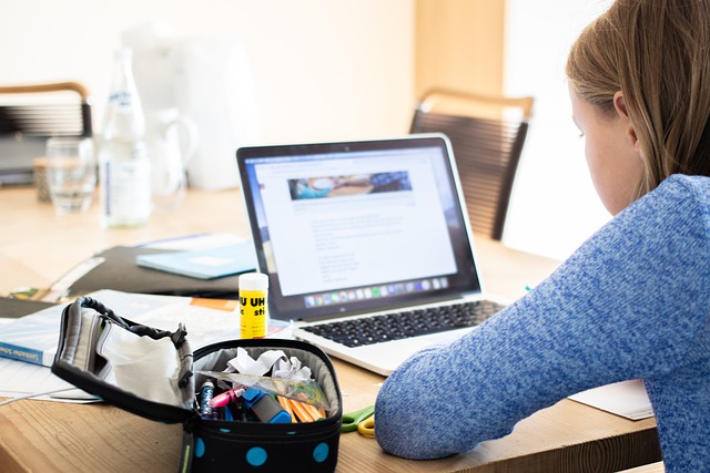 Student using LMS